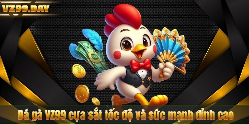 Đá gà VZ99 cựa sắt tốc độ và sức mạnh đỉnh cao